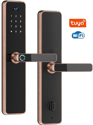 Khóa cửa vân tay GT818TA